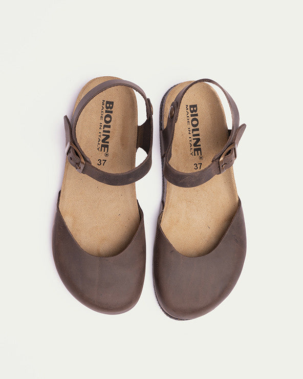 Holly